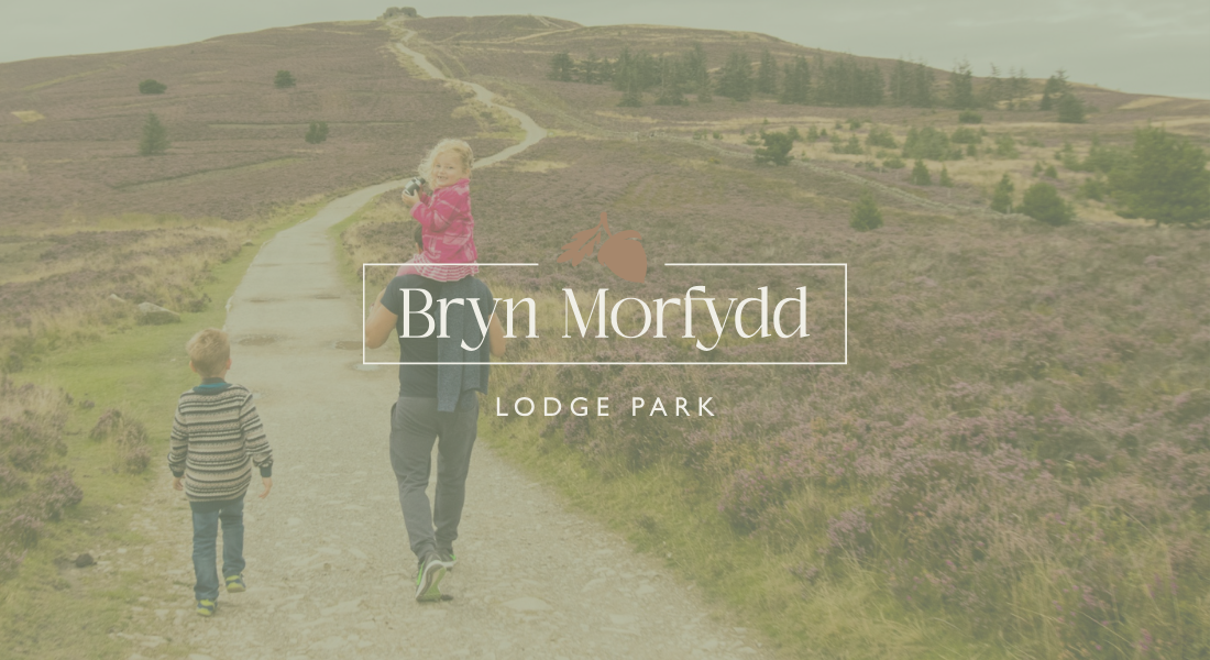 Explore More: Local Attractions Near Bryn Morfydd Lodge Park