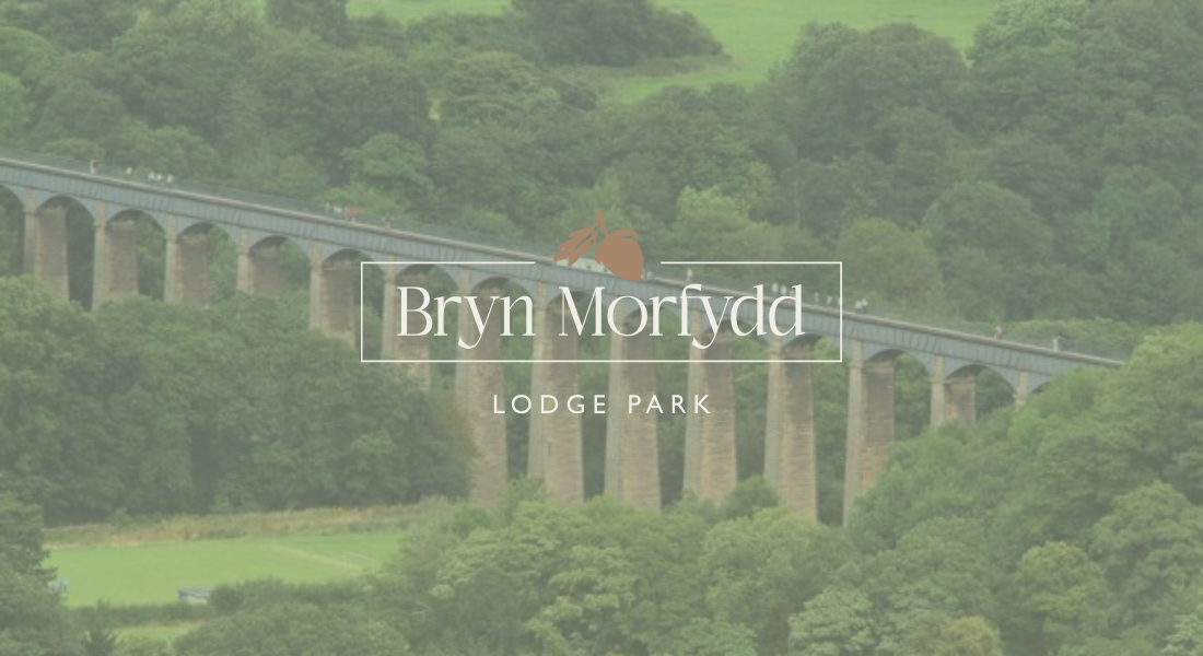 Discover North Wales' Best Nature Trails 
