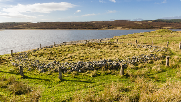 section image
