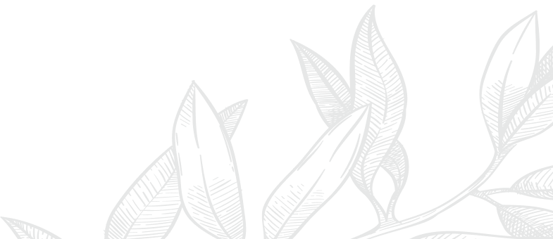 leaves image