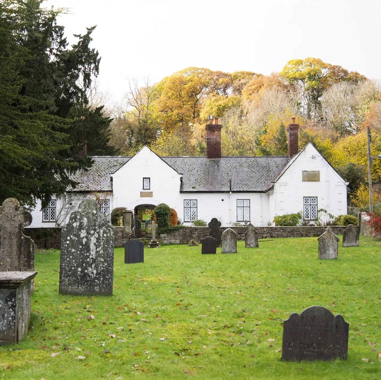 section image